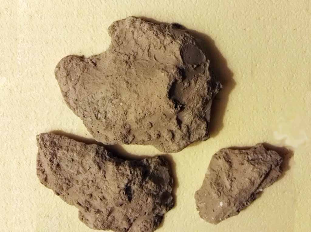 Rocce di argilla